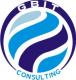Global Business & IT (GBIT) Consulting Limited logo